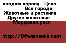 продам корову › Цена ­ 70 000 - Все города Животные и растения » Другие животные   . Мордовия респ.